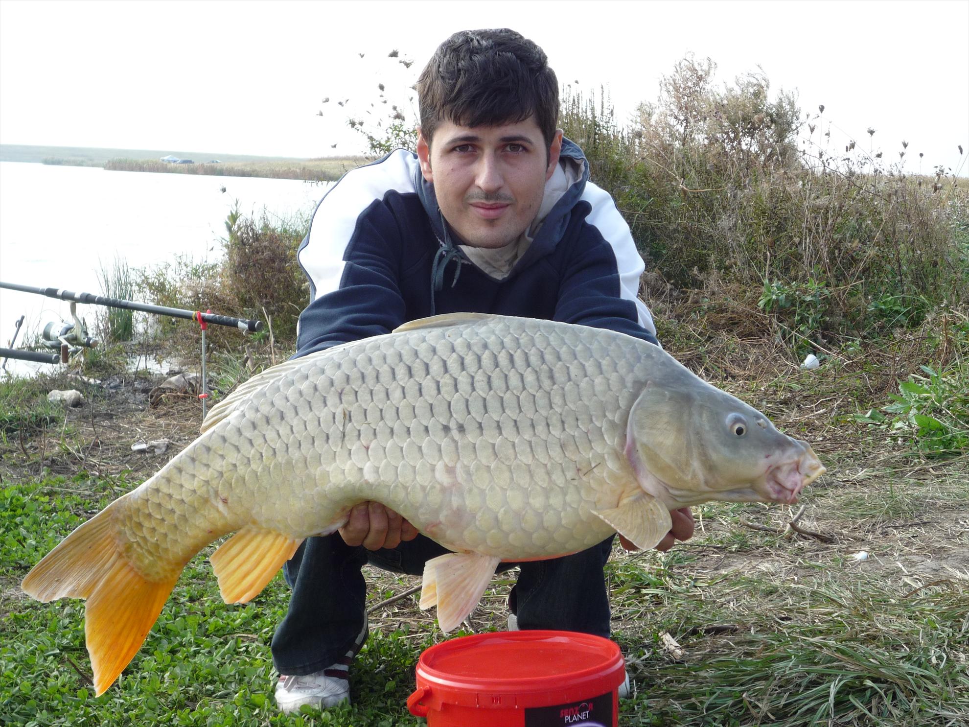 Hobaia - p1010643.jpg